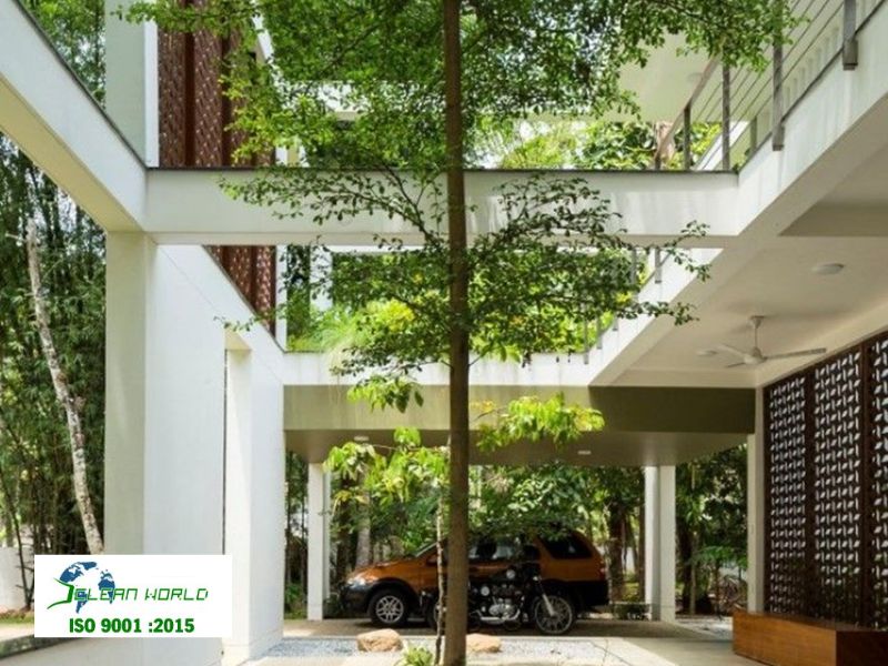 chăm sóc cắt tỉa cây xanh sân vườn tại vũng tàu