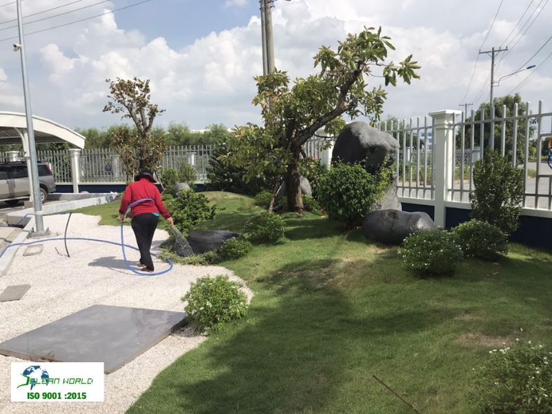 huong dan cham soc cay xanh 6