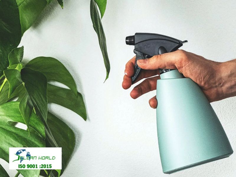 cách chăm sóc cây cảnh trong nhà để cây luôn tươi tốt 