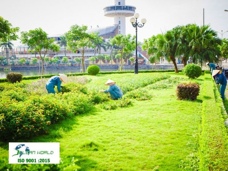 cắt tỉa cây xanh tại Khánh Hoà