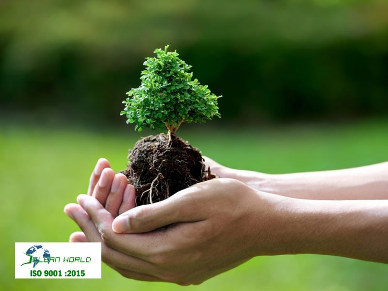 cắt tỉa cây xanh tại Khánh Hoà