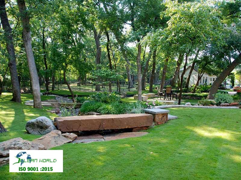 cắt tỉa cây xanh tại Khánh Hoà