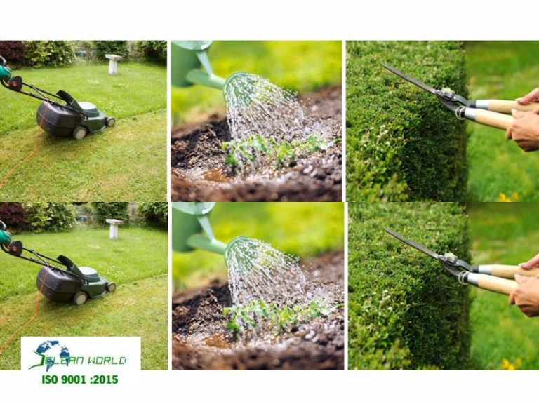 chăm sóc cắt tỉa cây xanh sân vườn tại vũng tàu