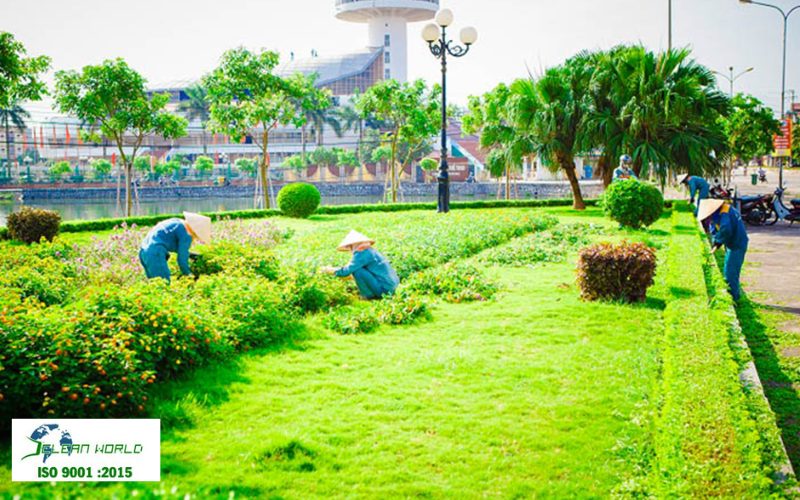 dịch vụ chăm sóc cây xanh 