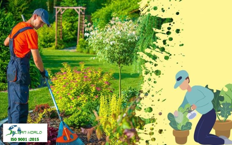 quy trình chăm sóc cây cảnh 
