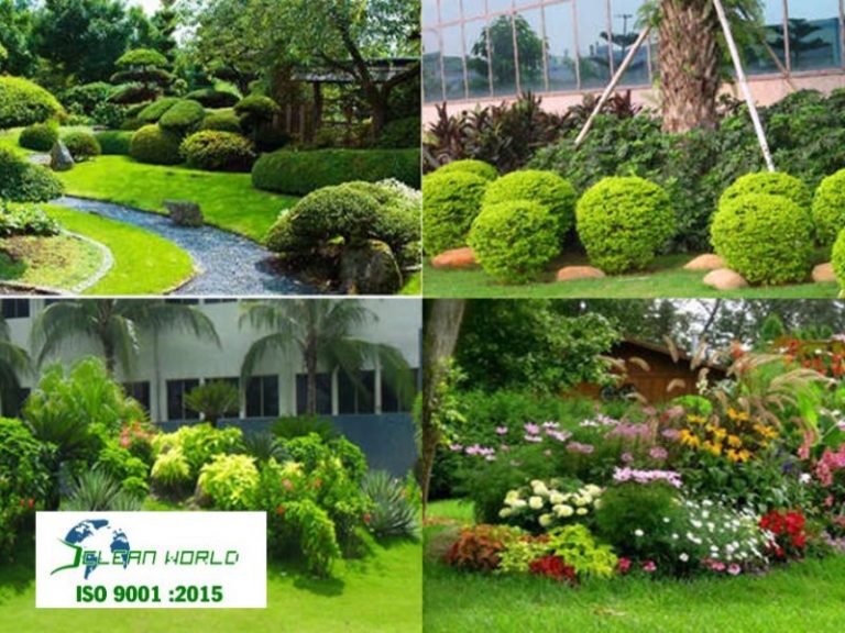 dịch vụ trồng cây xanh tại HCM