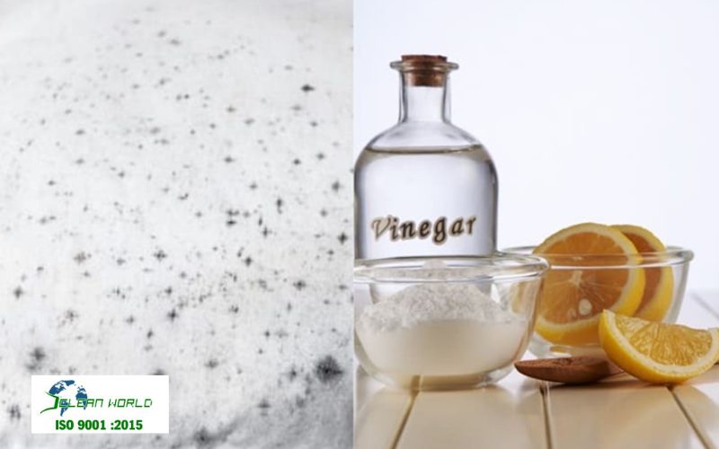 cách tẩy mốc tường nhà 