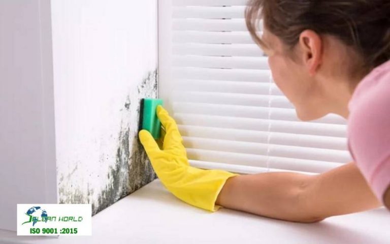 cách tẩy mốc tường nhà