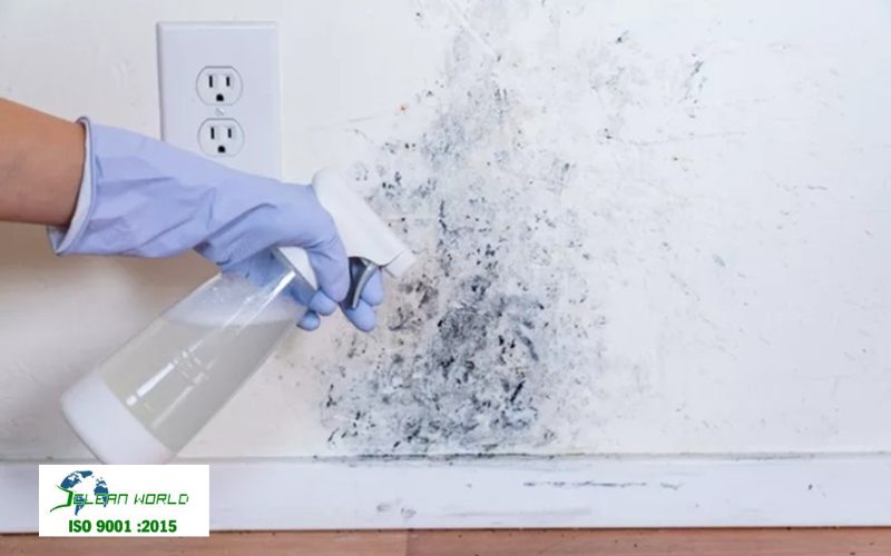 cách tẩy mốc tường nhà 