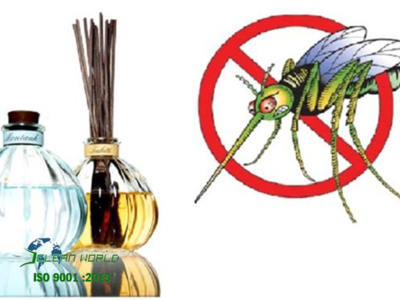 Cách diệt muỗi tại nhà hiệu quả, an toàn và tiết kiệm cách diệt muỗi tại nhà