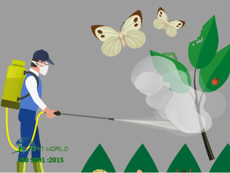 Cách diệt muỗi tại nhà hiệu quả, an toàn và tiết kiệm cách diệt muỗi tại nhà