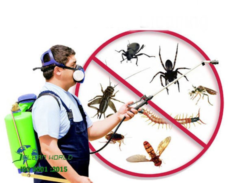 Cách diệt muỗi tại nhà hiệu quả, an toàn và tiết kiệm cách diệt muỗi tại nhà