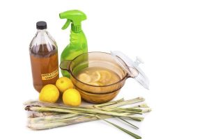 Cách diệt muỗi tại nhà hiệu quả, an toàn và tiết kiệm