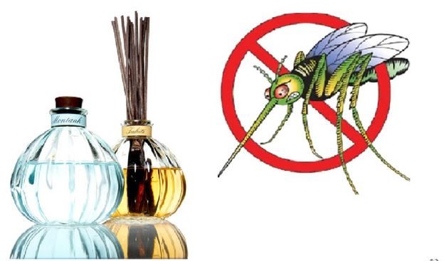 Cách diệt muỗi tại nhà hiệu quả, an toàn và tiết kiệm
