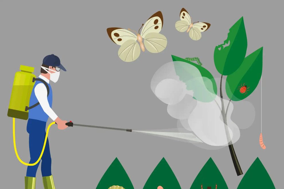 Cách diệt muỗi tại nhà hiệu quả, an toàn và tiết kiệm