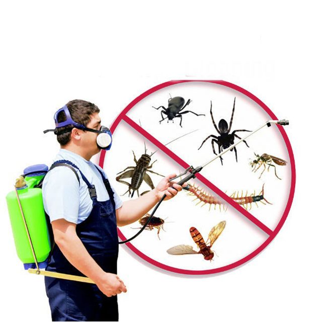 Cách diệt muỗi tại nhà hiệu quả, an toàn và tiết kiệm