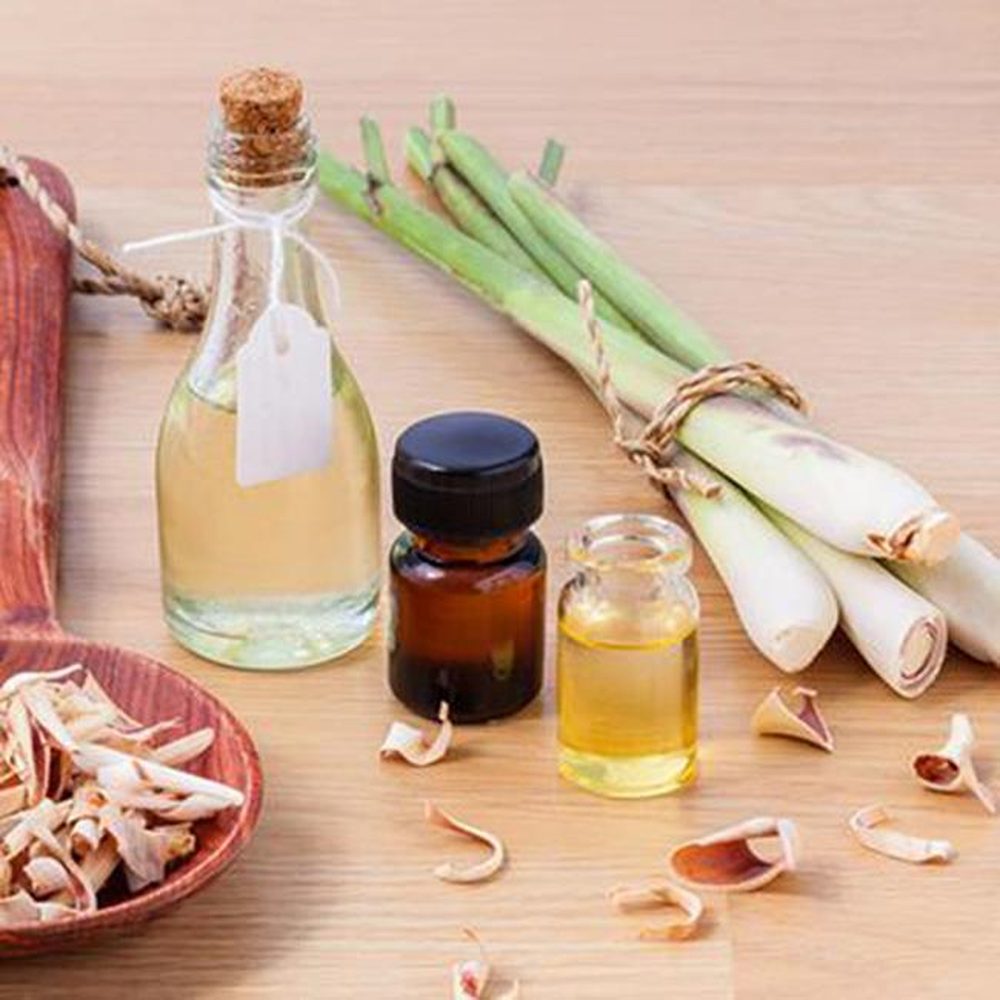 Cách diệt muỗi tại nhà hiệu quả, an toàn và tiết kiệm