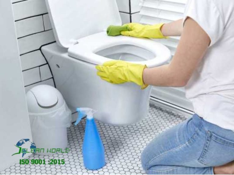 cách vệ sinh bồn cầu mới