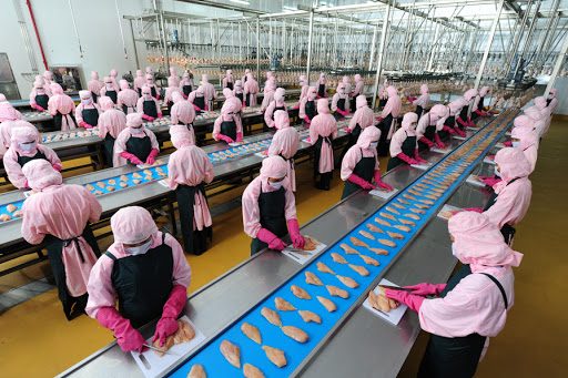 Quy trình vệ sinh nhà xưởng thực phẩm theo tiêu chuẩn HACCP 