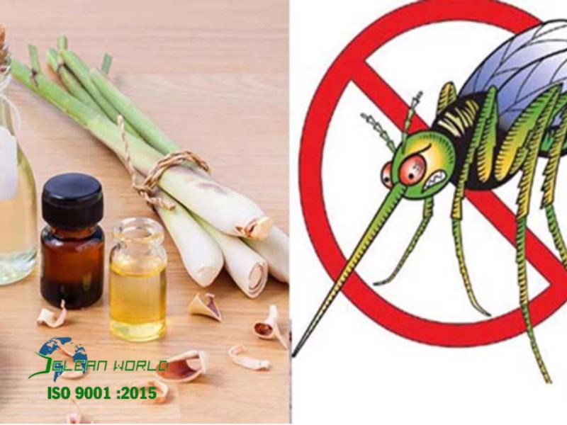 cách đuổi muỗi hiệu quả
