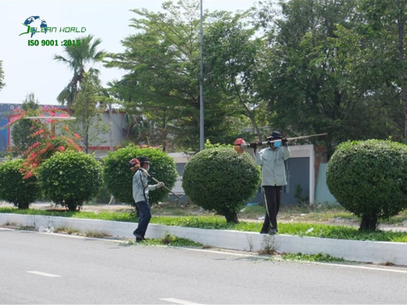 chăm sóc cây xanh khu đô thị