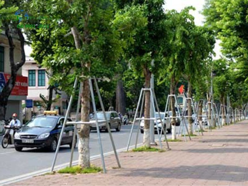 chăm sóc cây xanh khu đô thị