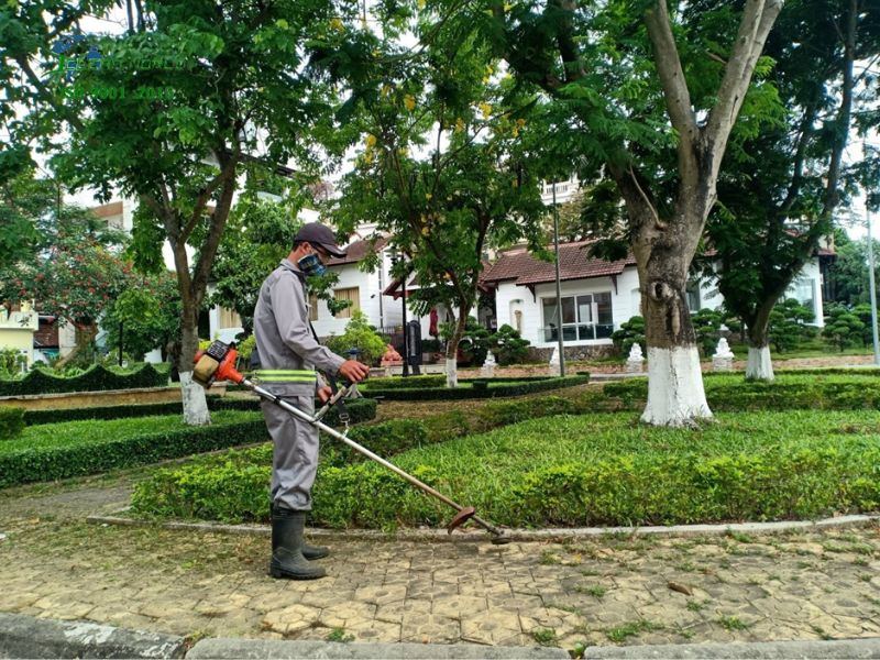 chăm sóc cây xanh khu đô thị
