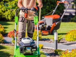 dịch vụ chăm sóc cây cảnh