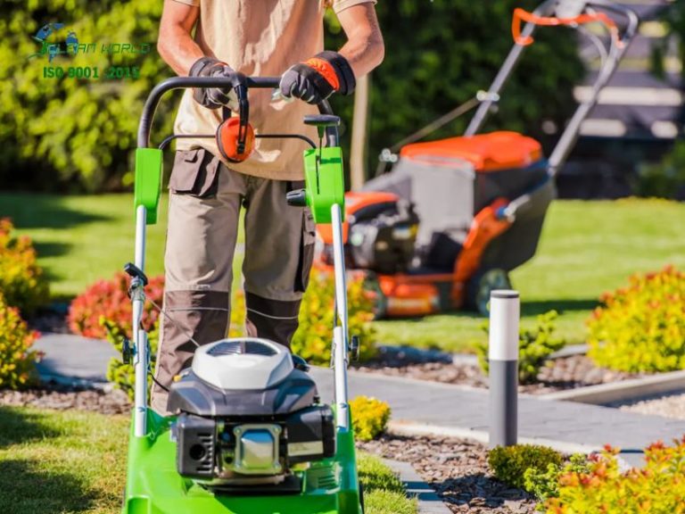 dịch vụ chăm sóc cây cảnh