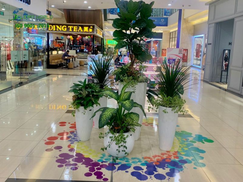 Dịch vụ chăm sóc cây cảnh văn phòng tại HCM