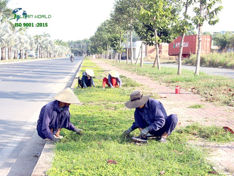 Dịch vụ chăm sóc cây xanh khu công nghiệp