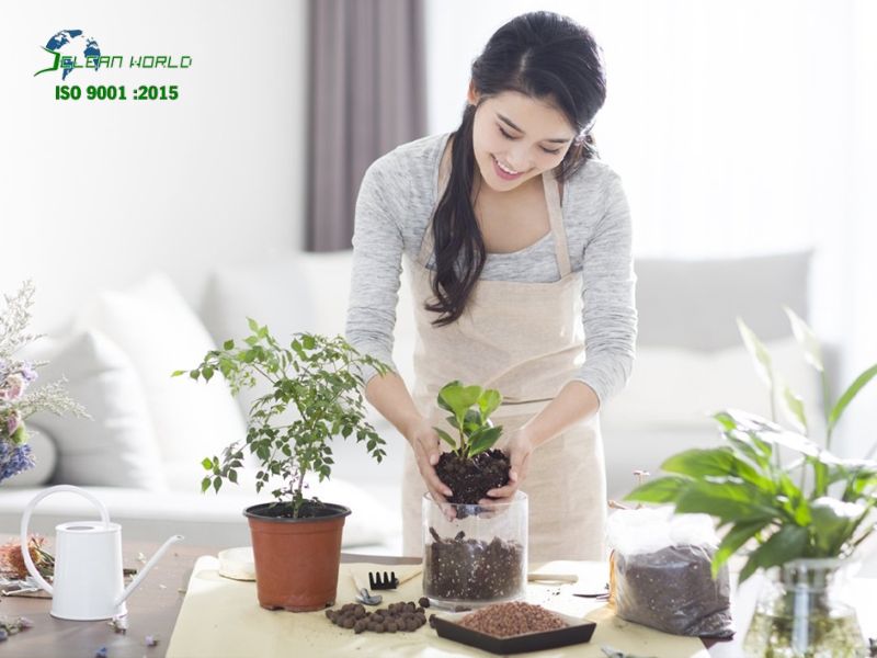 mẹo chăm sóc cây cảnh