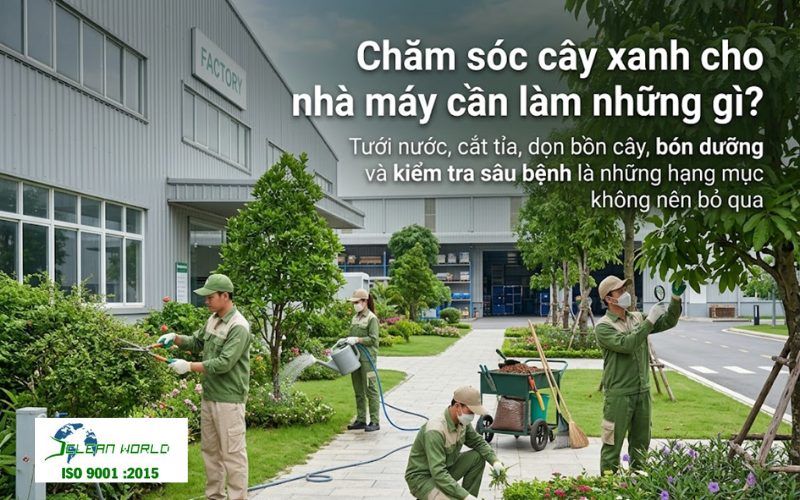 Chăm sóc cây xanh cho nhà máy thế nào để bền đẹp và tiết kiệm chi phí? chăm sóc cây xanh cho nhà máy
