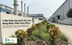 chăm sóc cây xanh cho nhà máy