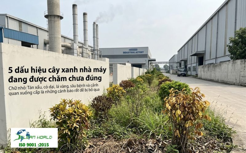 Chăm sóc cây xanh cho nhà máy thế nào để bền đẹp và tiết kiệm chi phí? chăm sóc cây xanh cho nhà máy