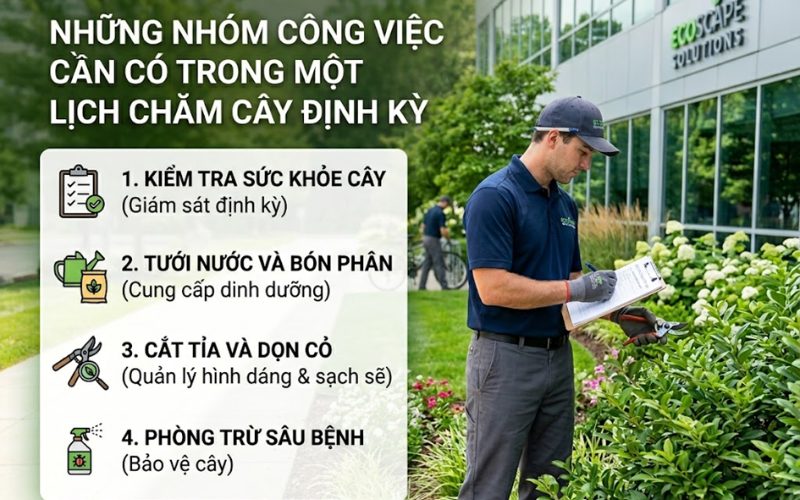 hướng dẫn lập lịch chăm cây định kỳ 