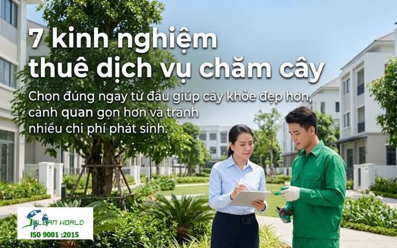 kinh nghiệm thuê dịch vụ chăm cây 