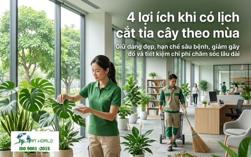 lịch cắt tỉa cây xanh theo mùa 