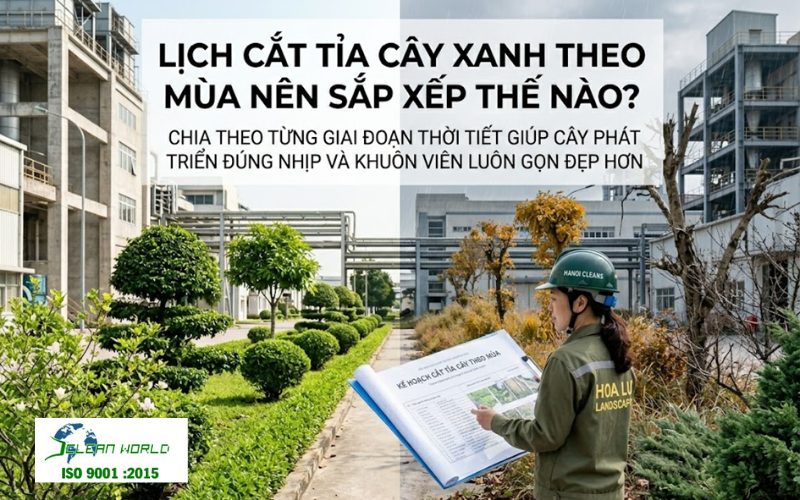 lịch cắt tỉa cây xanh theo mùa 
