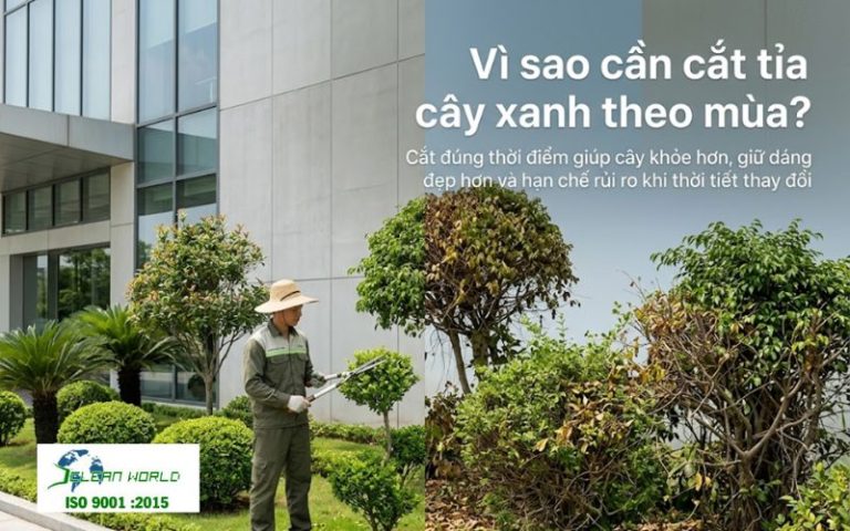 lịch cắt tỉa cây xanh theo mùa